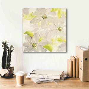 'Dancing Clematis I' by Chris Paschke, Giclee Canvas Wall Art,18 x 18