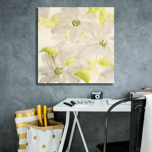 'Dancing Clematis I' by Chris Paschke, Giclee Canvas Wall Art,26 x 26