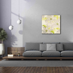 'Dancing Clematis I' by Chris Paschke, Giclee Canvas Wall Art,37 x 37