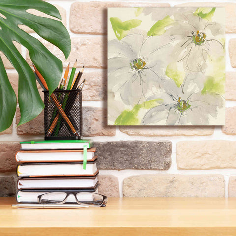 Image of 'Dancing Clematis II' by Chris Paschke, Giclee Canvas Wall Art,12 x 12