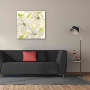 'Dancing Clematis II' by Chris Paschke, Giclee Canvas Wall Art,37 x 37