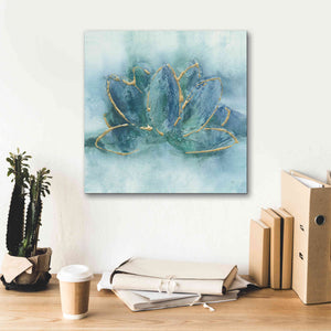 'Buddha Lotus' by Chris Paschke, Giclee Canvas Wall Art,18 x 18
