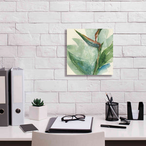 'Exotic Flower III' by Chris Paschke, Giclee Canvas Wall Art,12 x 12