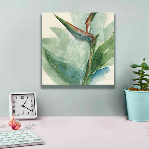 Image of 'Exotic Flower III' by Chris Paschke, Giclee Canvas Wall Art,12 x 12