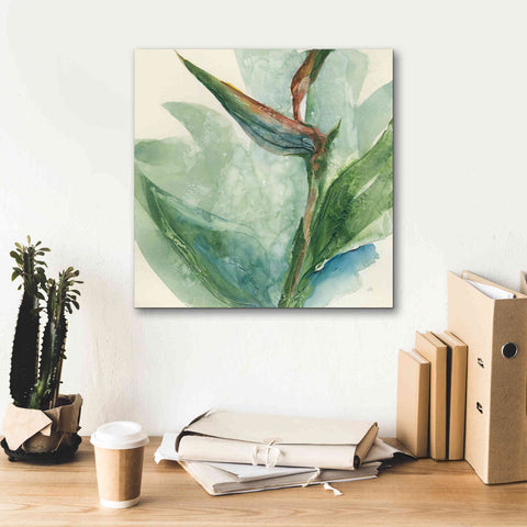 Image of 'Exotic Flower III' by Chris Paschke, Giclee Canvas Wall Art,18 x 18