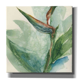 'Exotic Flower III' by Chris Paschke, Giclee Canvas Wall Art