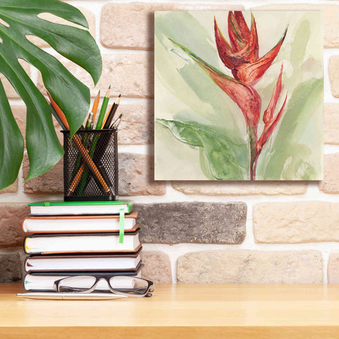 Image of 'Exotic Flower IV' by Chris Paschke, Giclee Canvas Wall Art,12 x 12