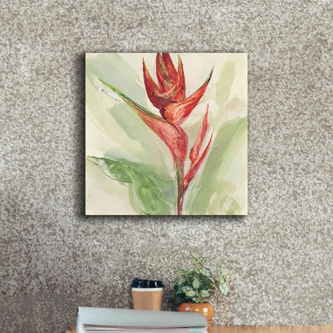 Image of 'Exotic Flower IV' by Chris Paschke, Giclee Canvas Wall Art,18 x 18