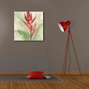 'Exotic Flower IV' by Chris Paschke, Giclee Canvas Wall Art,26 x 26