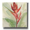 'Exotic Flower IV' by Chris Paschke, Giclee Canvas Wall Art