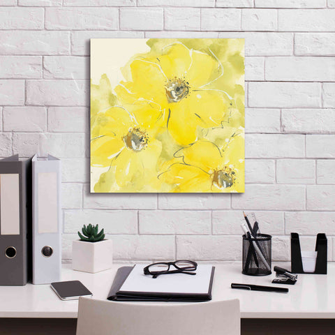 Image of 'Sunshine Cosmos I' by Chris Paschke, Giclee Canvas Wall Art,18 x 18