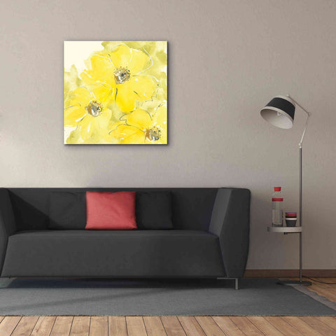 Image of 'Sunshine Cosmos I' by Chris Paschke, Giclee Canvas Wall Art,37 x 37