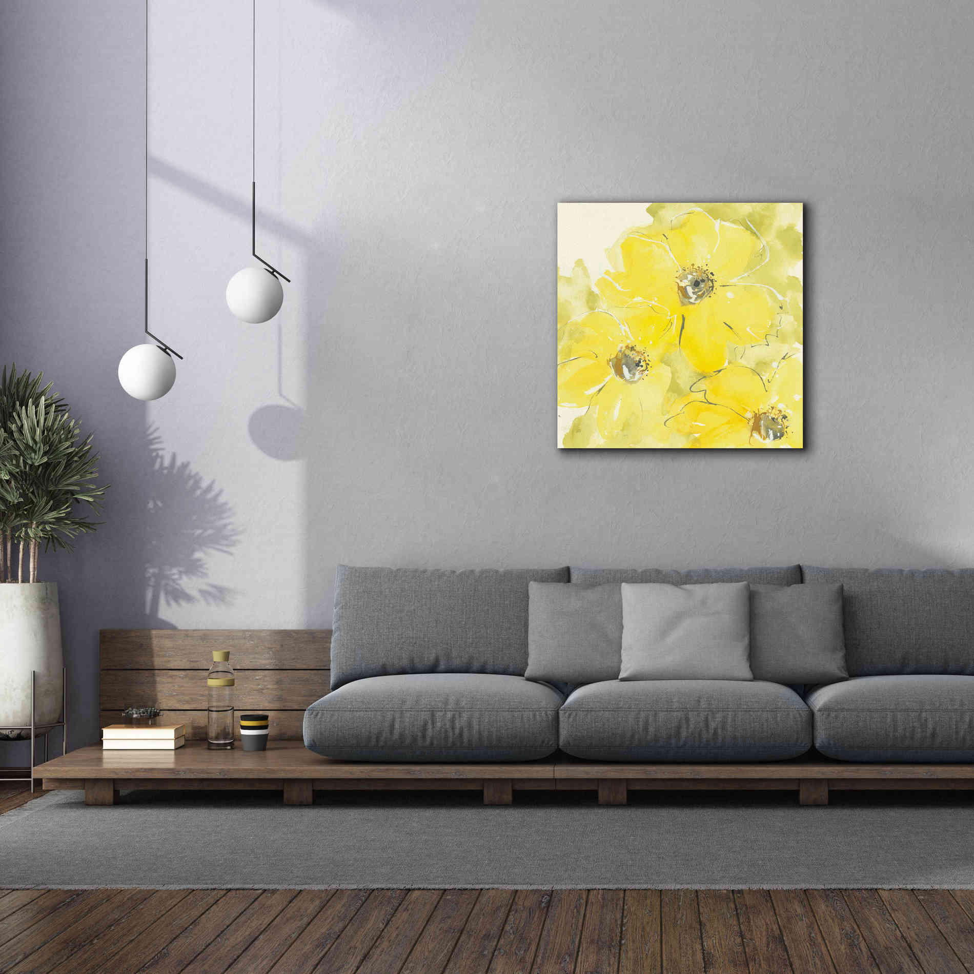 'Sunshine Cosmos I' by Chris Paschke, Giclee Canvas Wall Art,37 x 37