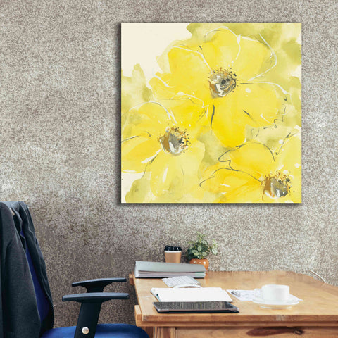 Image of 'Sunshine Cosmos I' by Chris Paschke, Giclee Canvas Wall Art,37 x 37