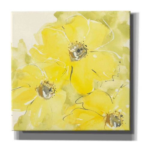 Image of 'Sunshine Cosmos I' by Chris Paschke, Giclee Canvas Wall Art
