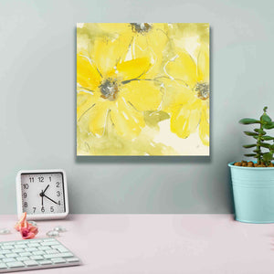 'Sunshine Cosmos II' by Chris Paschke, Giclee Canvas Wall Art,12 x 12