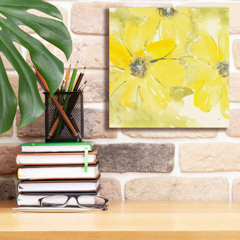 Image of 'Sunshine Cosmos II' by Chris Paschke, Giclee Canvas Wall Art,12 x 12