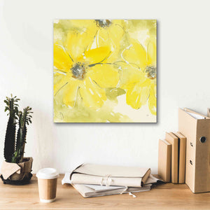 'Sunshine Cosmos II' by Chris Paschke, Giclee Canvas Wall Art,18 x 18