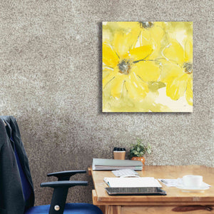'Sunshine Cosmos II' by Chris Paschke, Giclee Canvas Wall Art,26 x 26