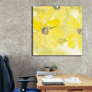 'Sunshine Cosmos II' by Chris Paschke, Giclee Canvas Wall Art,37 x 37