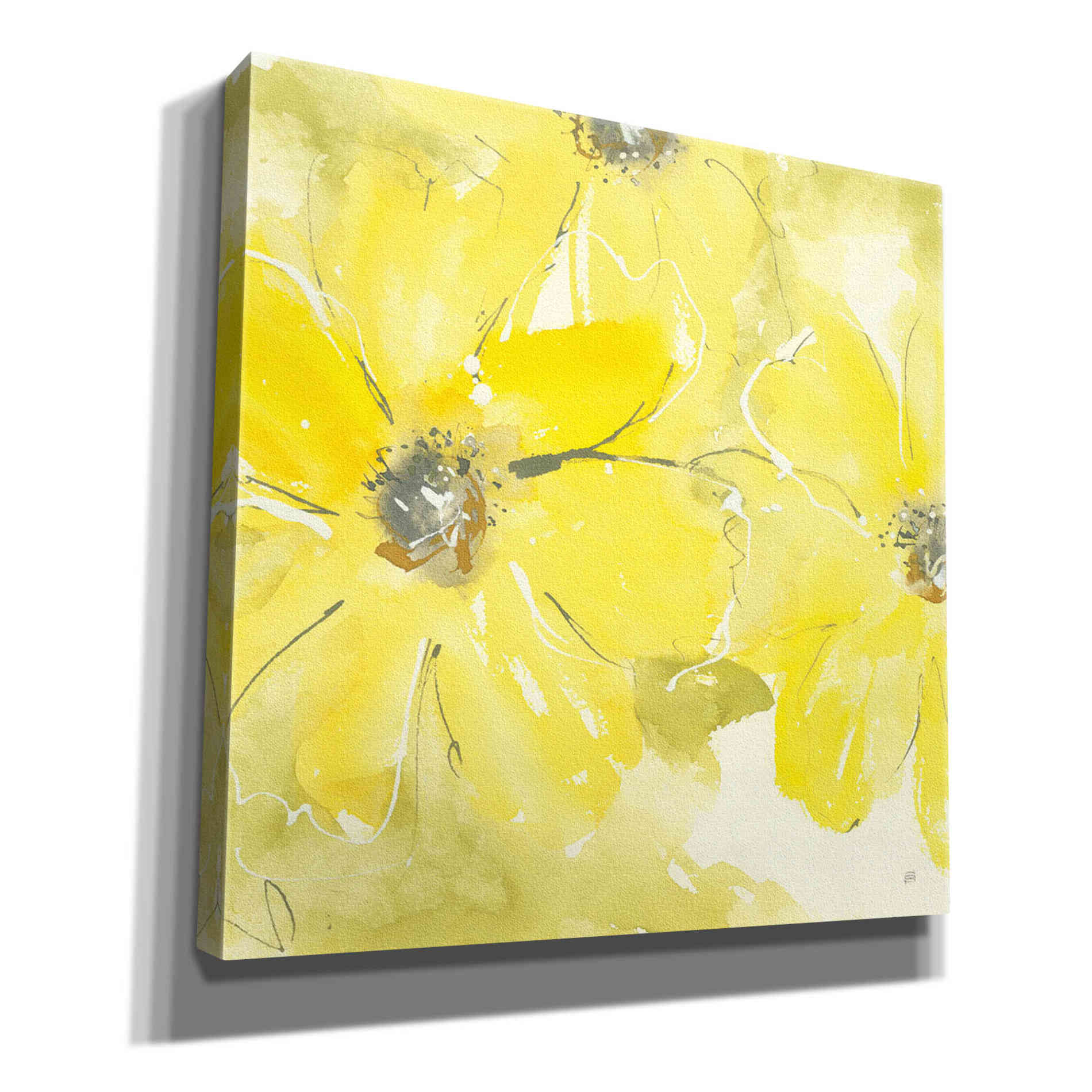 'Sunshine Cosmos II' by Chris Paschke, Giclee Canvas Wall Art