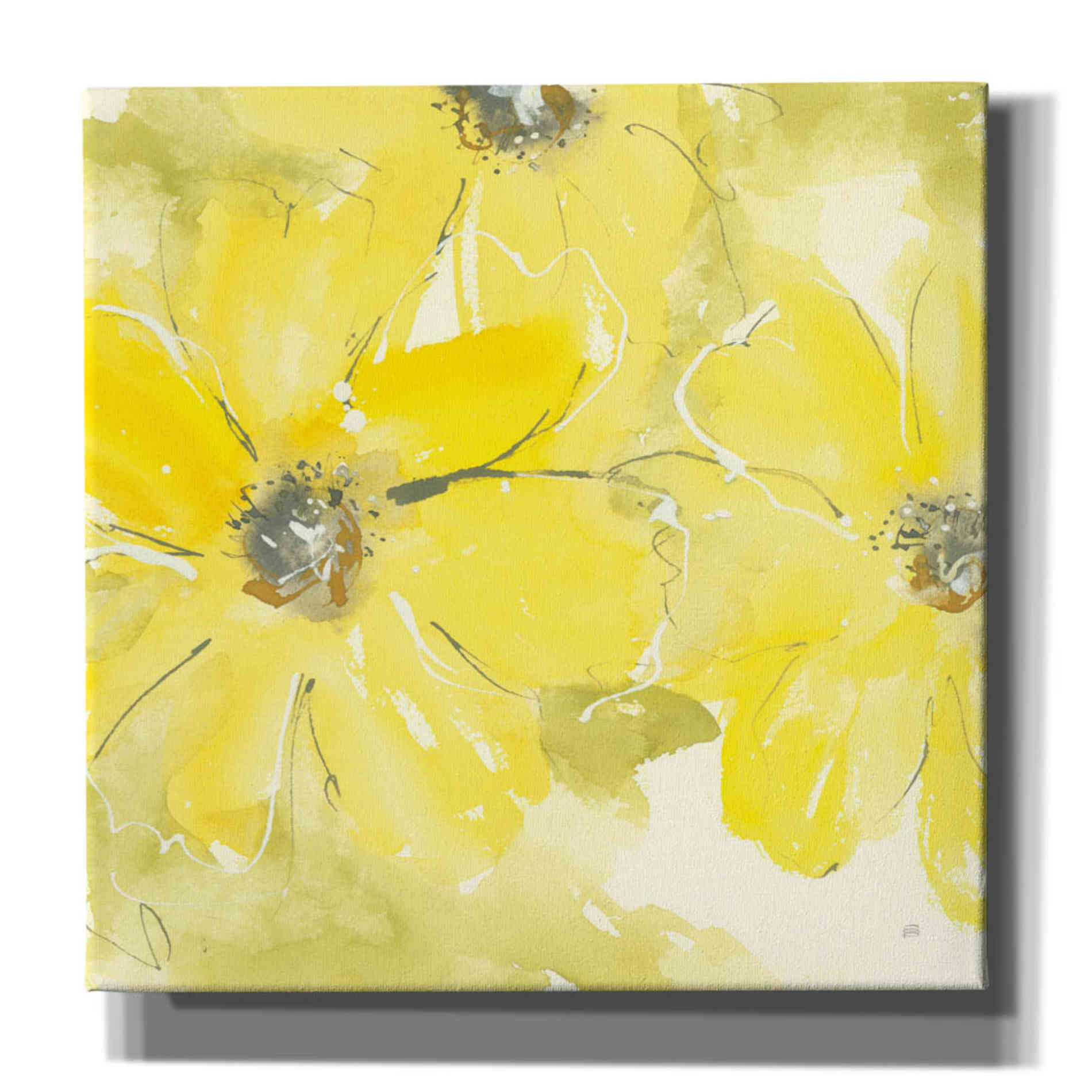 'Sunshine Cosmos II' by Chris Paschke, Giclee Canvas Wall Art