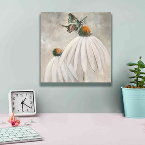 'Butterflies Are Free I' by Chris Paschke, Giclee Canvas Wall Art,12 x 12