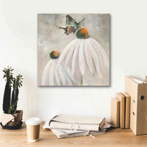 'Butterflies Are Free I' by Chris Paschke, Giclee Canvas Wall Art,18 x 18