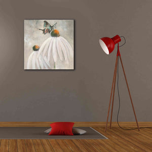 'Butterflies Are Free I' by Chris Paschke, Giclee Canvas Wall Art,26 x 26