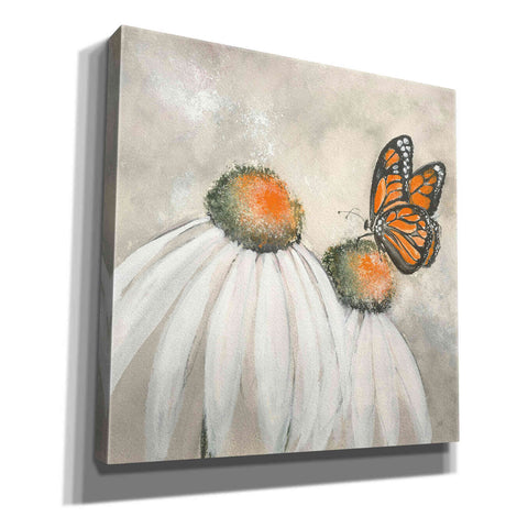 Image of 'Butterflies Are Free II' by Chris Paschke, Giclee Canvas Wall Art