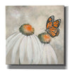 'Butterflies Are Free II' by Chris Paschke, Giclee Canvas Wall Art