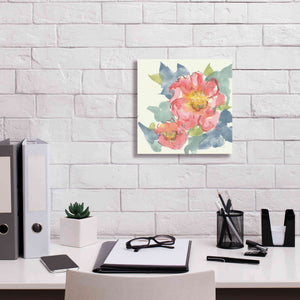 'Peony In The Pink II' by Chris Paschke, Giclee Canvas Wall Art,12 x 12