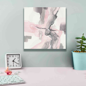 'Blushing Grey I' by Chris Paschke, Giclee Canvas Wall Art,12 x 12