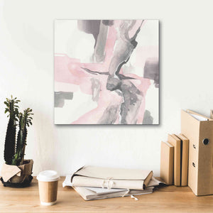 'Blushing Grey I' by Chris Paschke, Giclee Canvas Wall Art,18 x 18