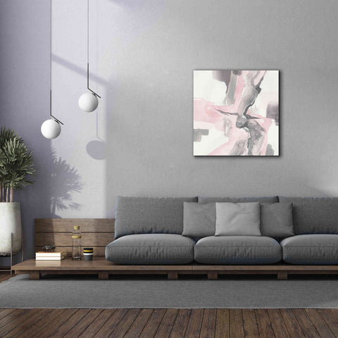 Image of 'Blushing Grey I' by Chris Paschke, Giclee Canvas Wall Art,37 x 37