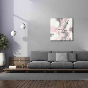 'Blushing Grey I' by Chris Paschke, Giclee Canvas Wall Art,37 x 37
