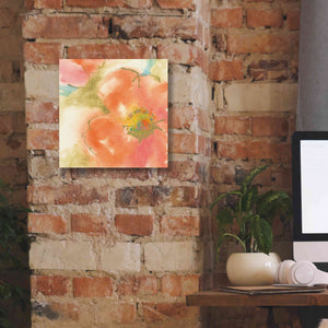 'Coral Poppy I' by Chris Paschke, Giclee Canvas Wall Art,12 x 12