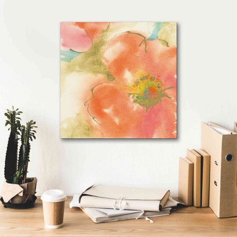 Image of 'Coral Poppy I' by Chris Paschke, Giclee Canvas Wall Art,18 x 18