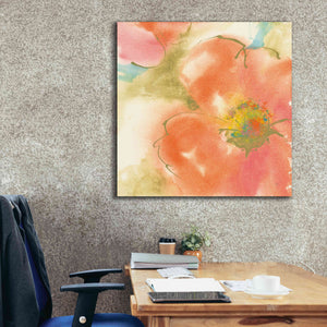 'Coral Poppy I' by Chris Paschke, Giclee Canvas Wall Art,37 x 37