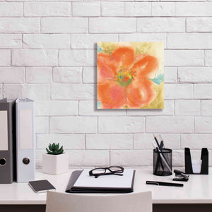 'Coral Poppy II' by Chris Paschke, Giclee Canvas Wall Art,12 x 12