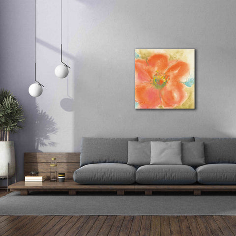 Image of 'Coral Poppy II' by Chris Paschke, Giclee Canvas Wall Art,37 x 37