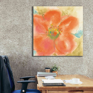 'Coral Poppy II' by Chris Paschke, Giclee Canvas Wall Art,37 x 37