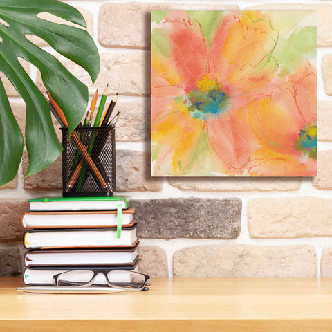 Image of 'Tinted Cosmos I' by Chris Paschke, Giclee Canvas Wall Art,12 x 12