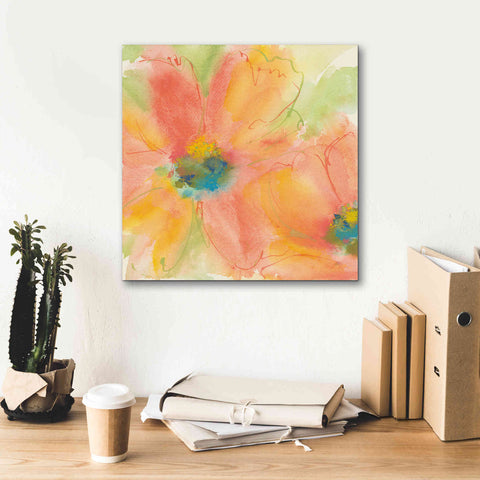 Image of 'Tinted Cosmos I' by Chris Paschke, Giclee Canvas Wall Art,18 x 18