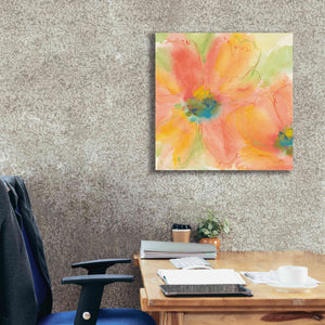 'Tinted Cosmos I' by Chris Paschke, Giclee Canvas Wall Art,26 x 26