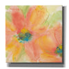 'Tinted Cosmos I' by Chris Paschke, Giclee Canvas Wall Art