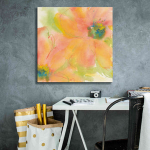 'Tinted Cosmos II' by Chris Paschke, Giclee Canvas Wall Art,26 x 26