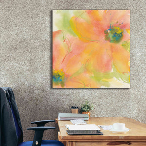 'Tinted Cosmos II' by Chris Paschke, Giclee Canvas Wall Art,37 x 37