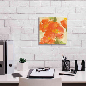 'Tangerine Poppies I' by Chris Paschke, Giclee Canvas Wall Art,12 x 12