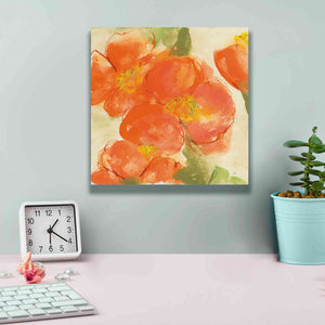 'Tangerine Poppies I' by Chris Paschke, Giclee Canvas Wall Art,12 x 12